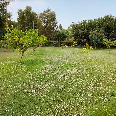 Agriturismo I Doni Del Mandorlo Alghero Exteriör bild
