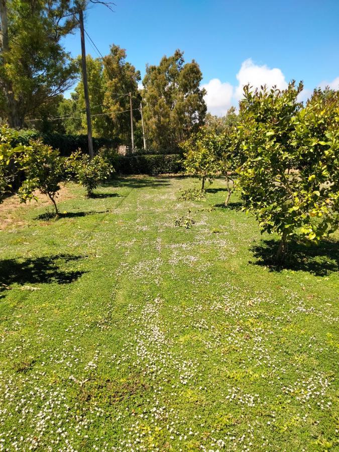 Agriturismo I Doni Del Mandorlo Alghero Exteriör bild
